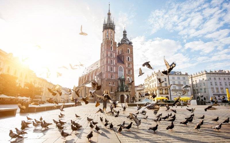 Dobry stomatolog – jak go rozpoznać i dlaczego to ważne?