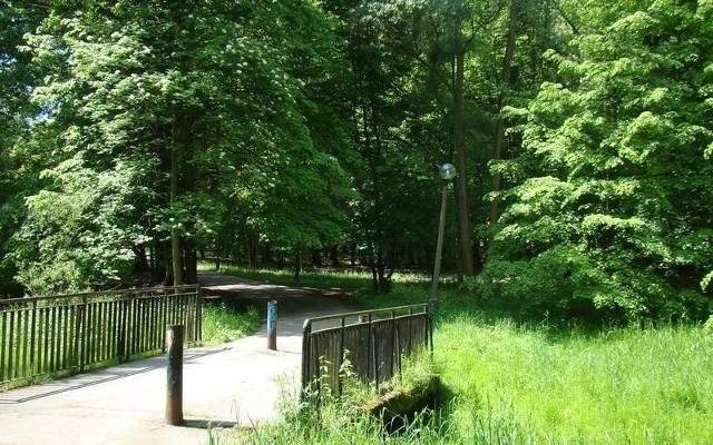 Komary atakują w Oświęcimiu. Czy opryski okażą się skuteczne?