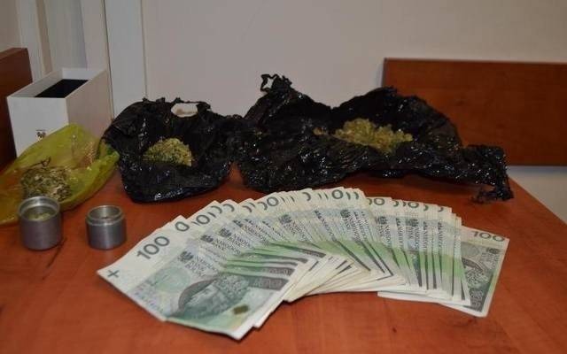 Policjanci zatrzymali 34-latka z Brzeszcz, który trudnił się nielegalną uprawę konopi indyjskich