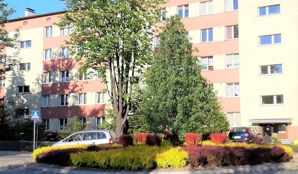 Ronda w Oświęcimiu. W głowie się kręci, ale robią wrażenie