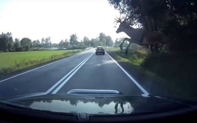 Dramatyczne nagrania wypadków z kamerek samochodowych