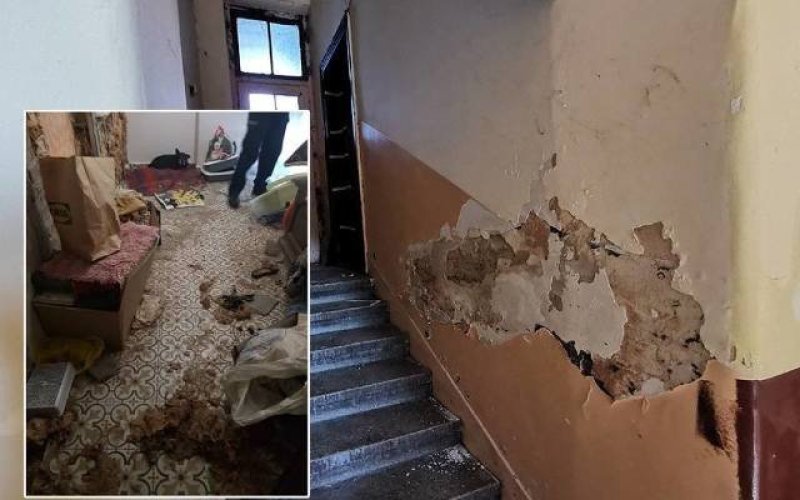 Tragedia zwierząt z Chrzanowa trwała latami?