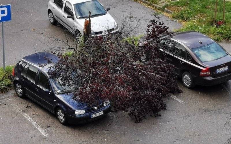 Kęty. Wiatr przewrócił drzewo na samochód. Spore straty