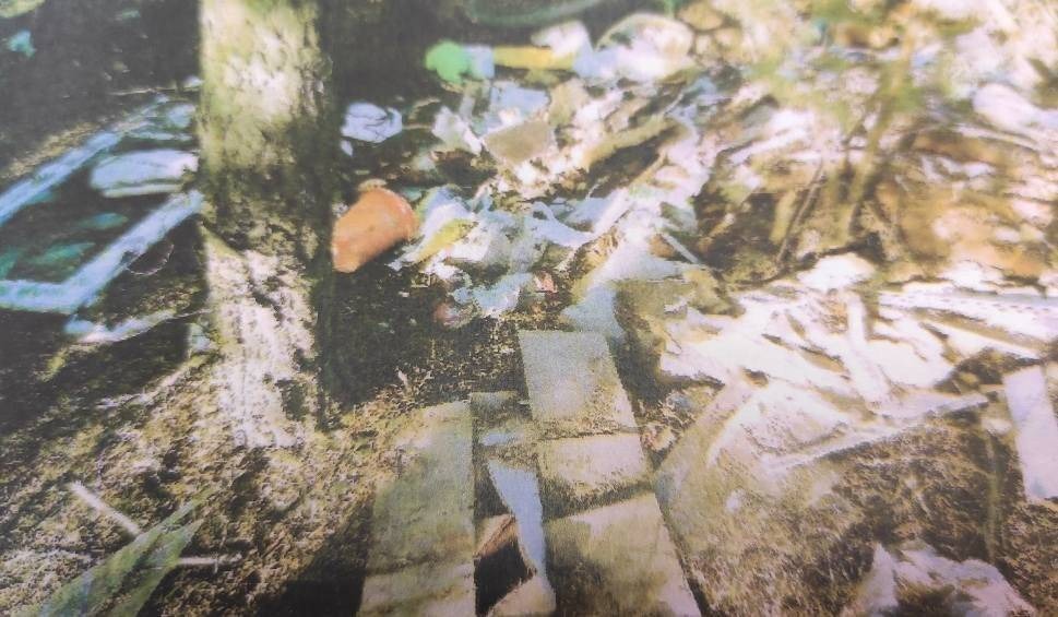 Olkusz. Szok. Zaśmiecony las w Pomorzanach. Policja szuka świadków