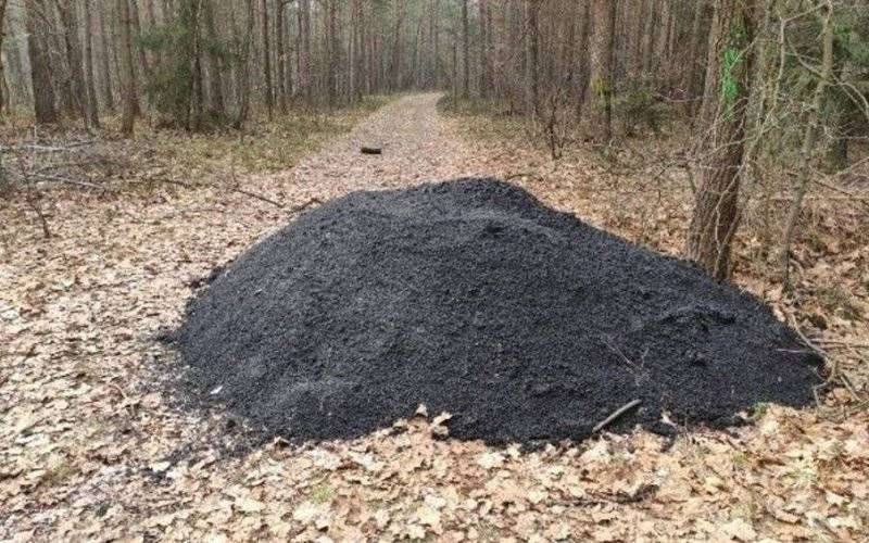 Ktoś podrzucił do lasu... gorący asfalt. To nie początek nowej inwestycji