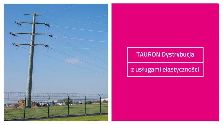 Tauron Dystrybucja - usługa elastyczności