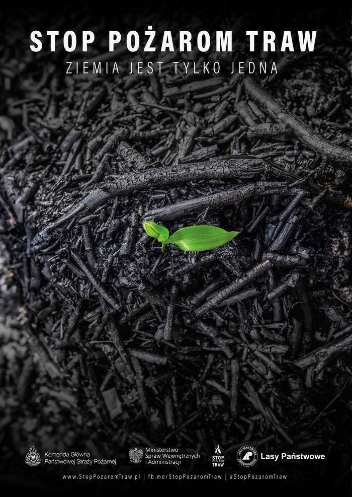 WYPALANIE TRAW SZKODZI I JEST NIELEGALNE! Apel Burmistrza Zatora