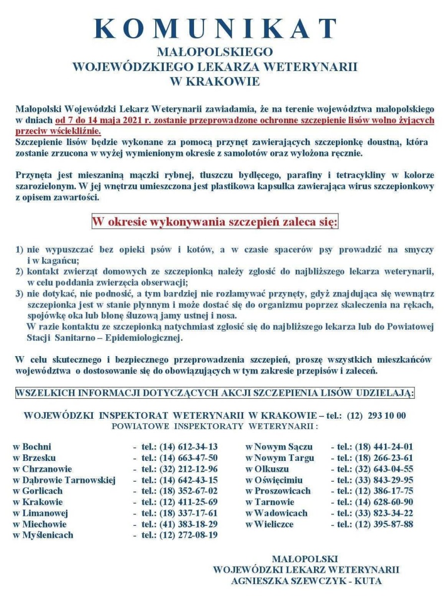 Akcja szczepienia lisów przeciw wściekliźnie od 7 do 14 maja 2021 roku - WSKAZÓWKI dla mieszkańców.