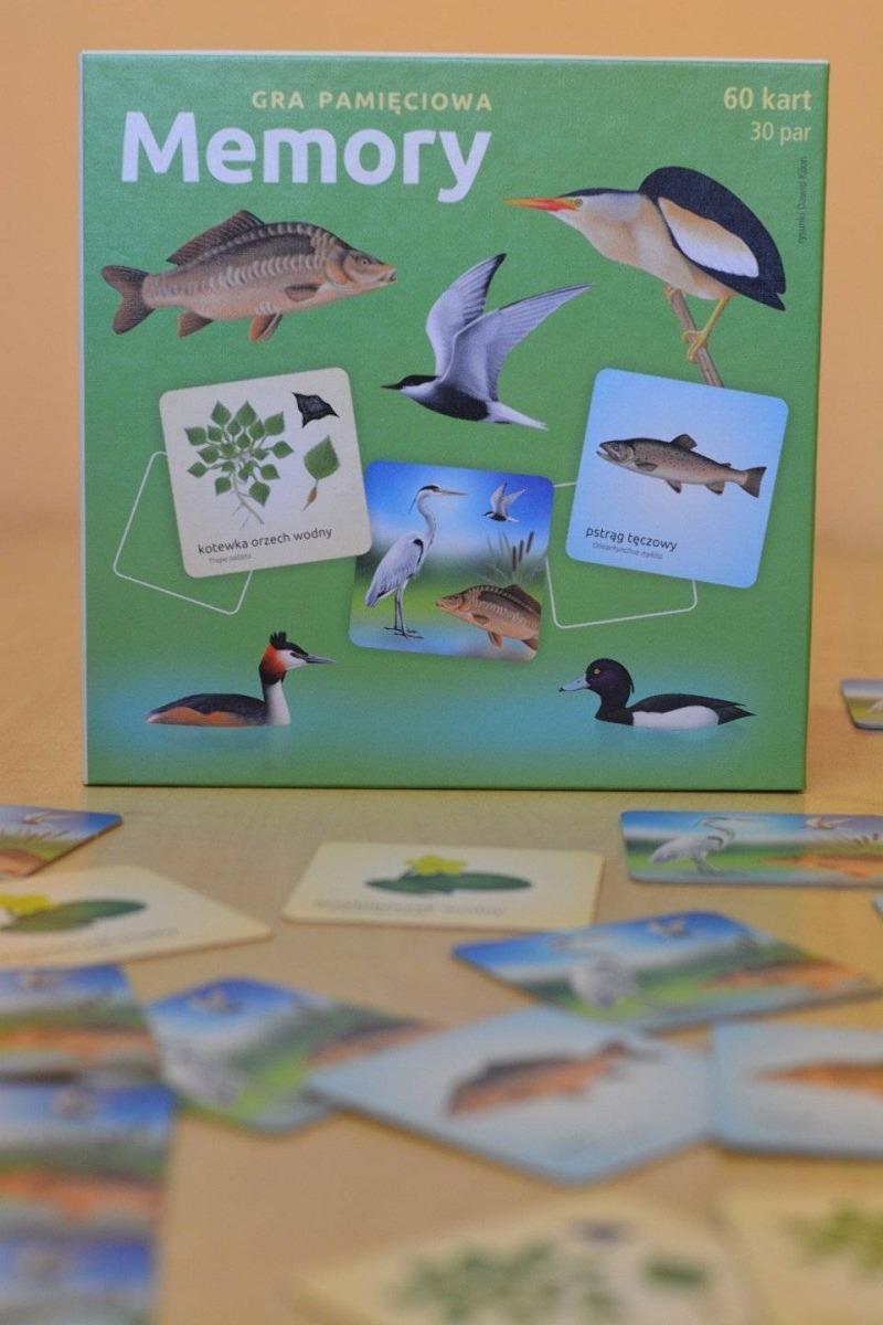 Gra Memory z Doliny Karpia