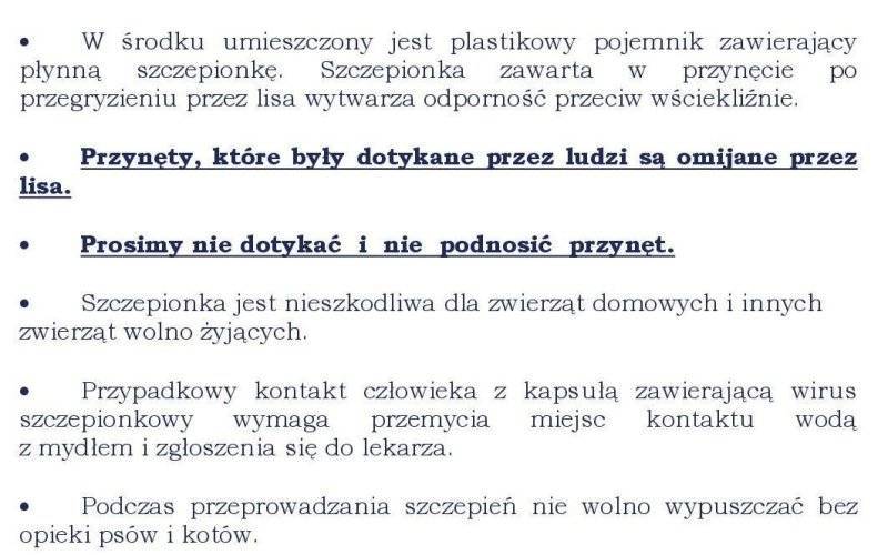 Sczepienie lisów przeciw wściekliźnie