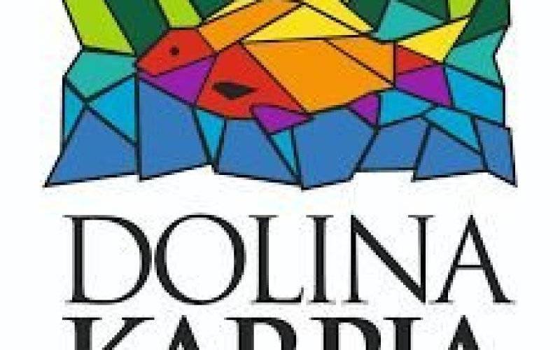 DODATKOWE ŚRODKI DO BUDŻETU LSR Kampania informacyjna dotycząca efektów wdrażania LSR
