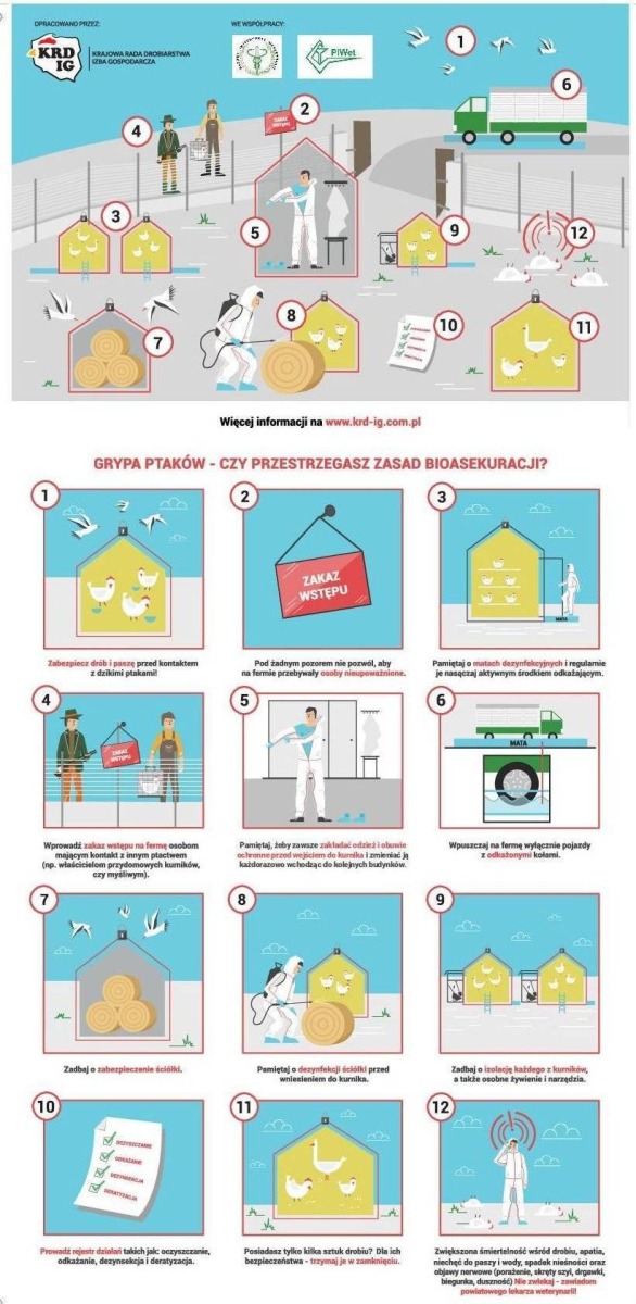 Uwaga - ponownie pojawiające się ogniska wysoce zjadliwej grypy ptaków (HPAI)