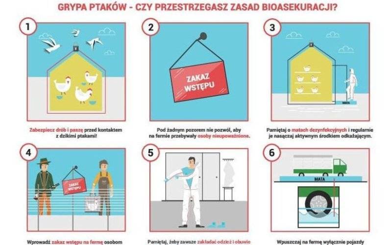 Uwaga - ponownie pojawiające się ogniska wysoce zjadliwej grypy ptaków (HPAI) - miejscowość Bestwinka