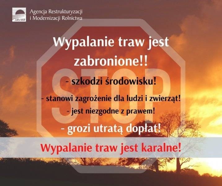 Wypalanie traw szkodzi i jest karalne - informacja ARiMR