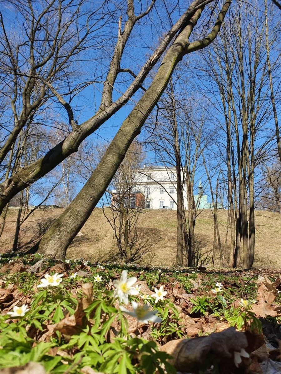 Zabytkowy Park w Zatorze dostępny dla mieszkańców i turystów