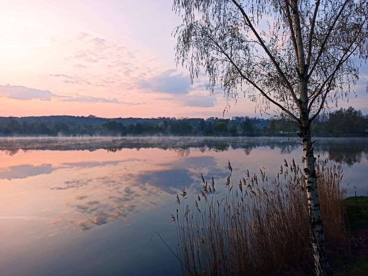 Spławikowe zawody wędkarskie.