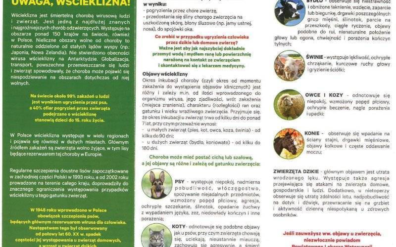 Informacja dla właścicieli psów i kotów - wytyczne dotyczące szczepień