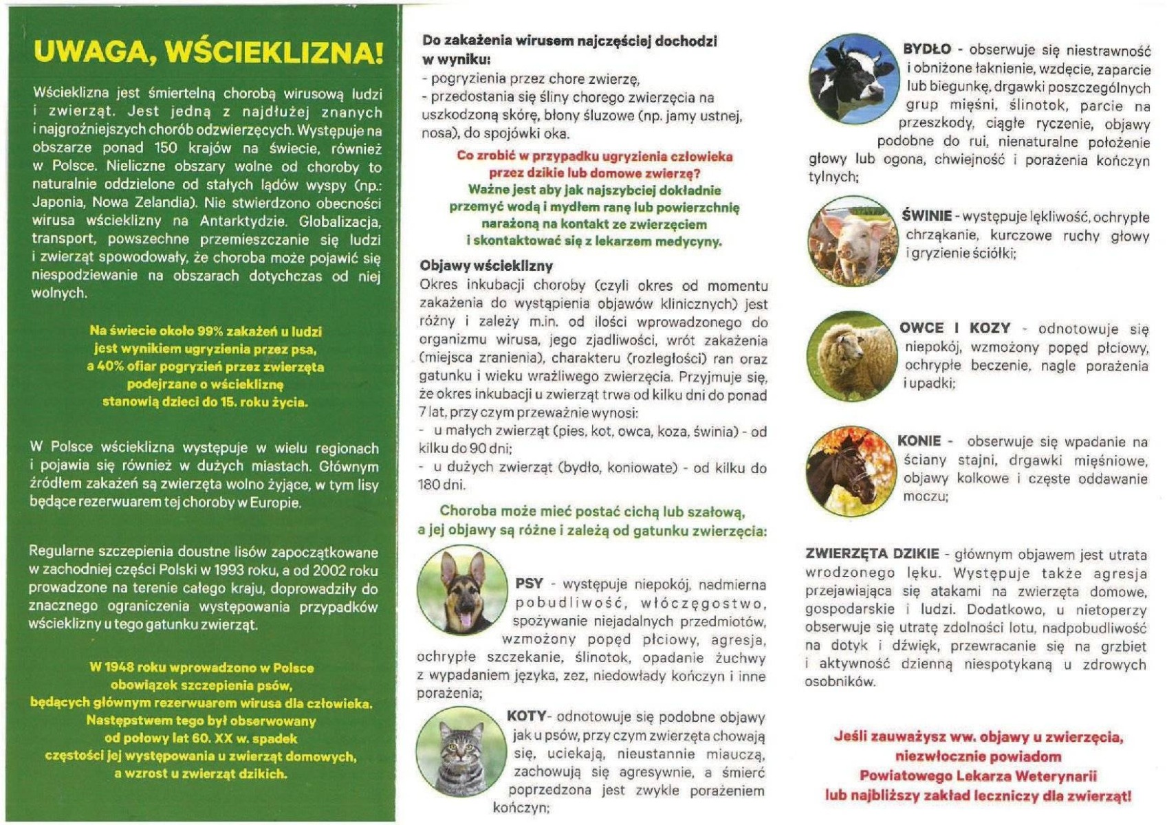 Informacja dla właścicieli psów i kotów - wytyczne dotyczące szczepień