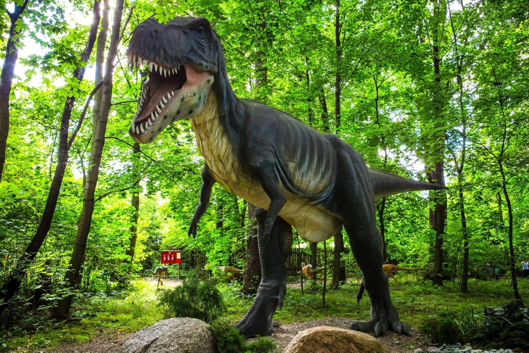 Poznajemy Małopolskę Zachodnią. Dzisiaj Zator!