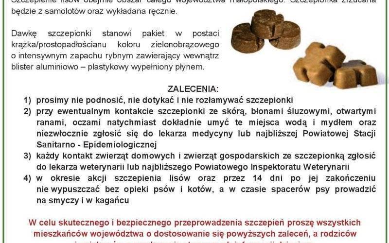 Jesienna akcja ochronnego szczepienia lisów przeciwko wściekliźnie w dniach od 23.09.2022 r. do 01.10.2022 r.