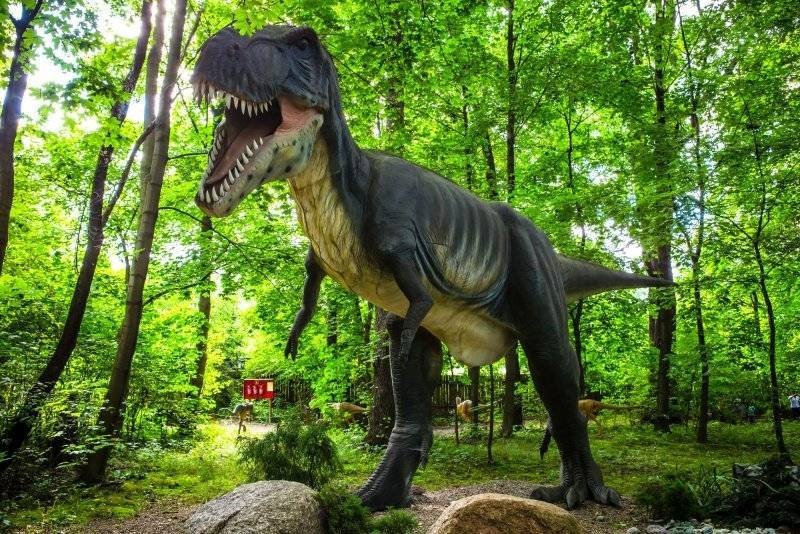 Poznajemy Małopolskę Zachodnią. Zapraszamy do Zatora!