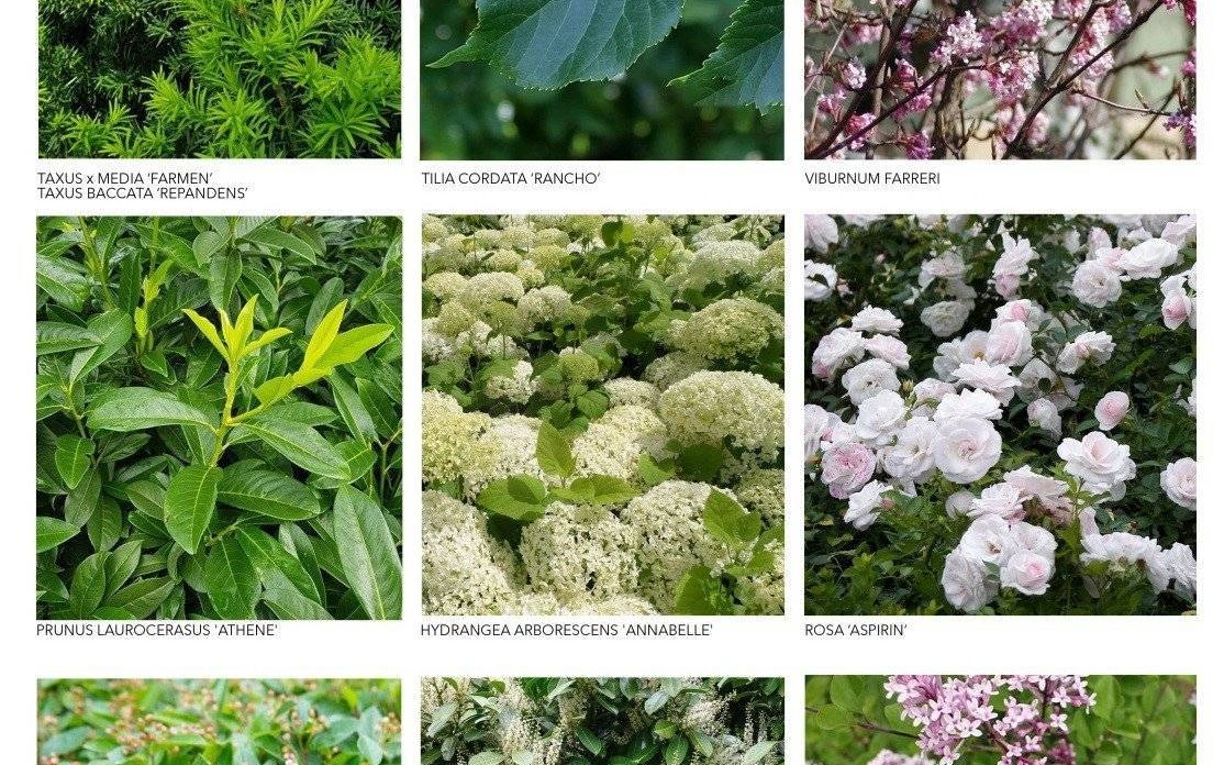 Kolejne prace na terenie rynku w Zatorze