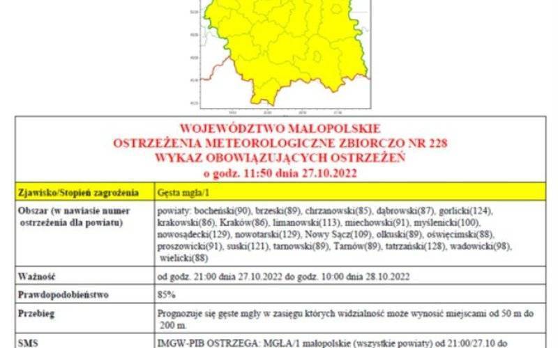 Ostrzeżenie meteorologiczne Nr 228 _Gesta_Mgla_1 stopnia