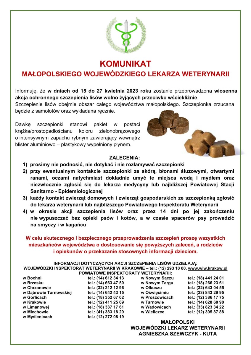 Wiosenna akcja ochronnego szczepienia lisów wolno żyjących przeciwko wściekliźnie.