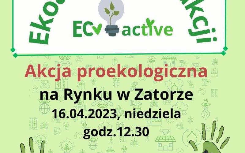 Ekowarsztaty w Dolinie Karpia