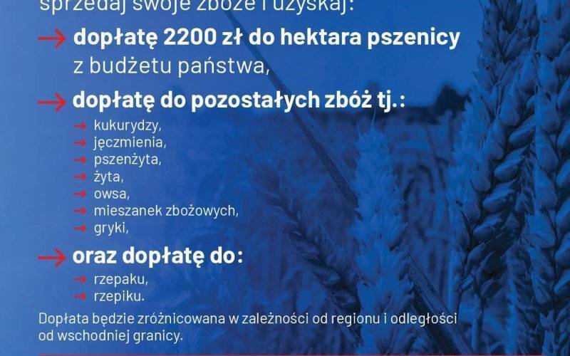 Informacje dla rolników dotyczące dopłat do zbóż oraz rzepaku i rzepiku