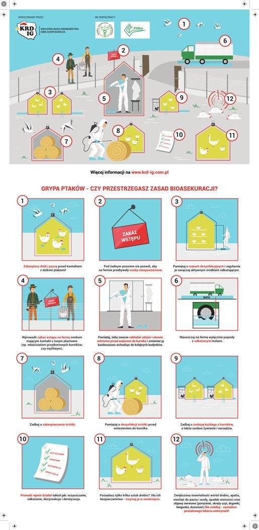 Uwaga - stwierdzono wystąpienie wysoce zjadliwej grypy ptaków (HPAI)!