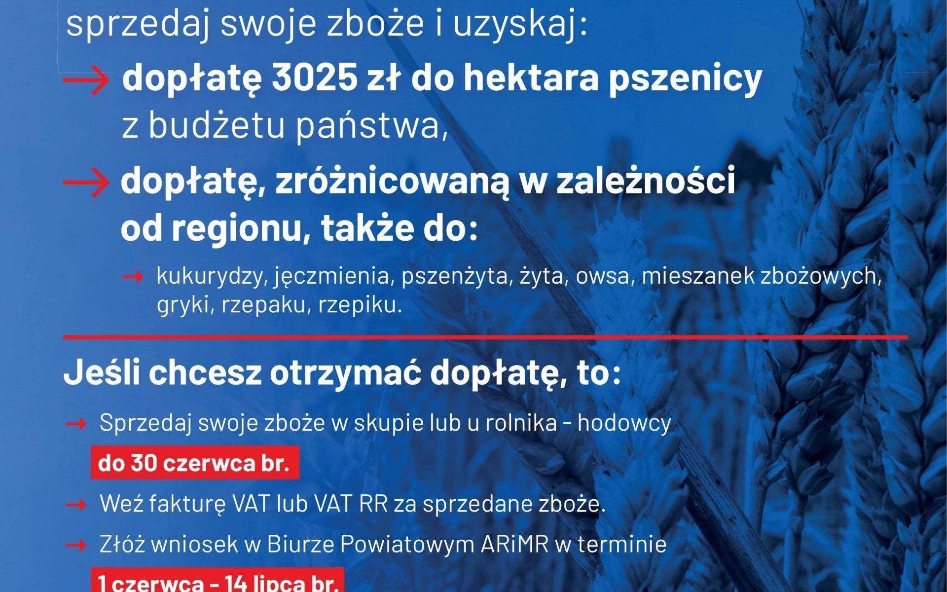 Informacje dla rolników dotyczące nowych stawek dopłat do zbóż oraz rzepaku i rzepiku