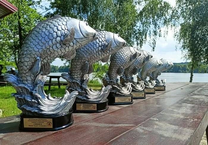 Mistrzostwa Zatorskiego Towarzystwa Wędkarskiego w wędkarstwie karpiowym - relacja