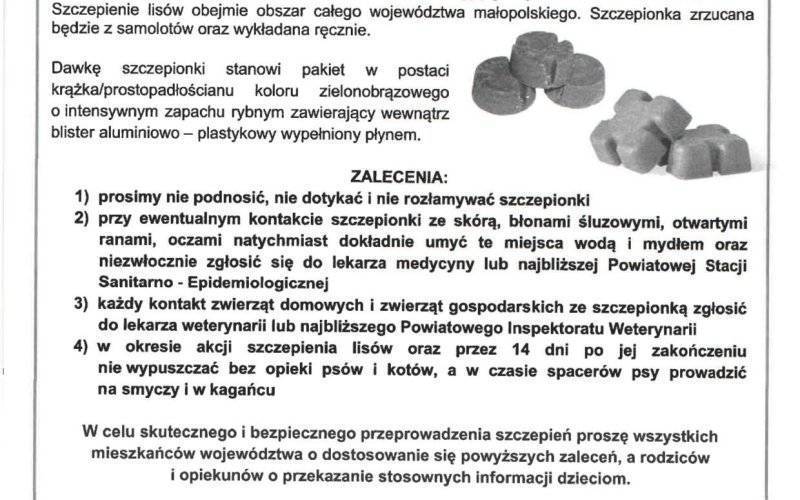 Jesienna akcja ochronnego szczepienia lisów przeciwko wściekliźnie w dniach od 23.09.2023 r. do 03.10.2023 r. - ZALECENIA