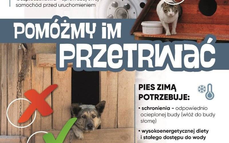 Zima to trudny czas dla zwierząt - pomóżmy im przetrwać!
