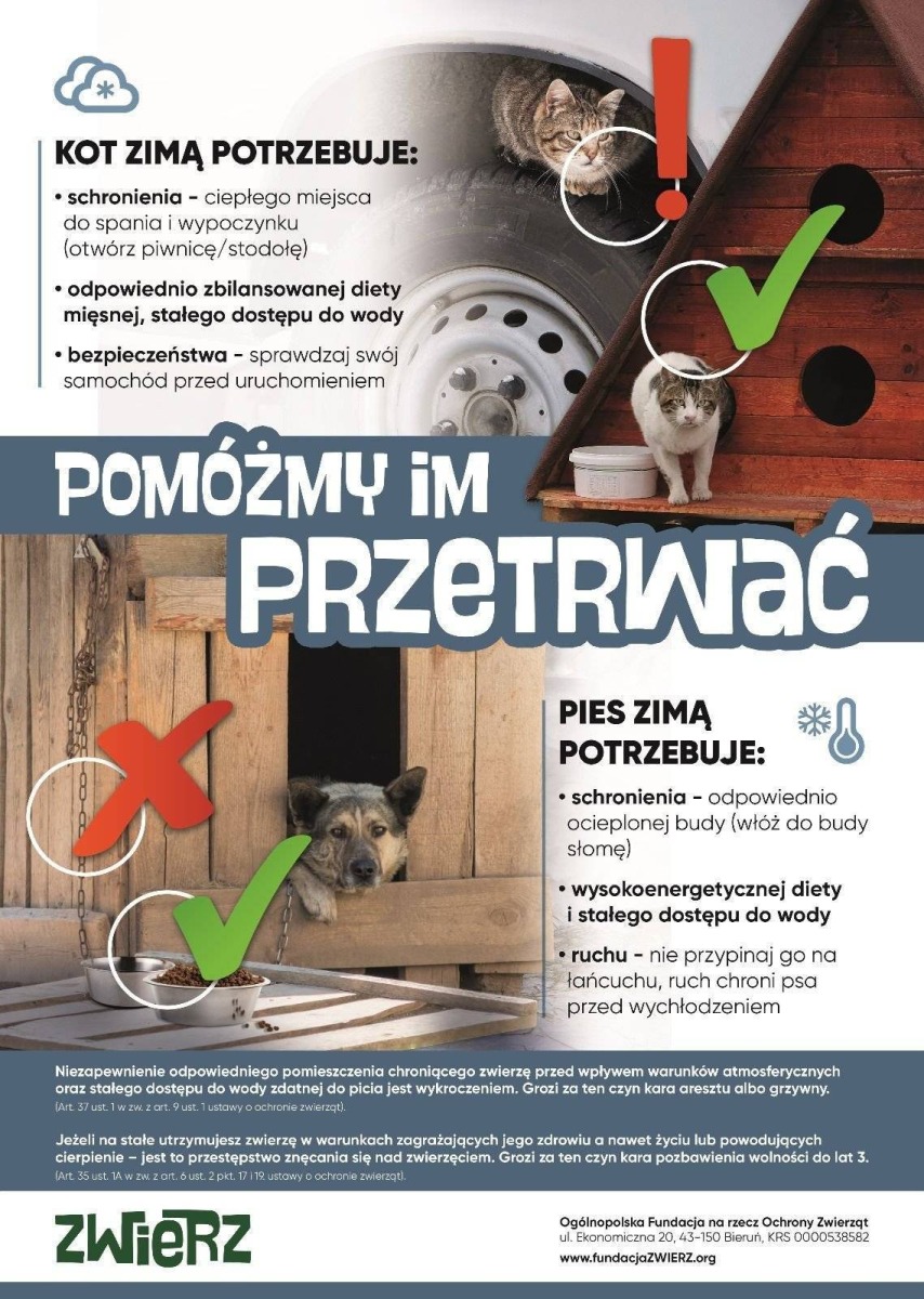 Zima to trudny czas dla zwierząt - pomóżmy im przetrwać!