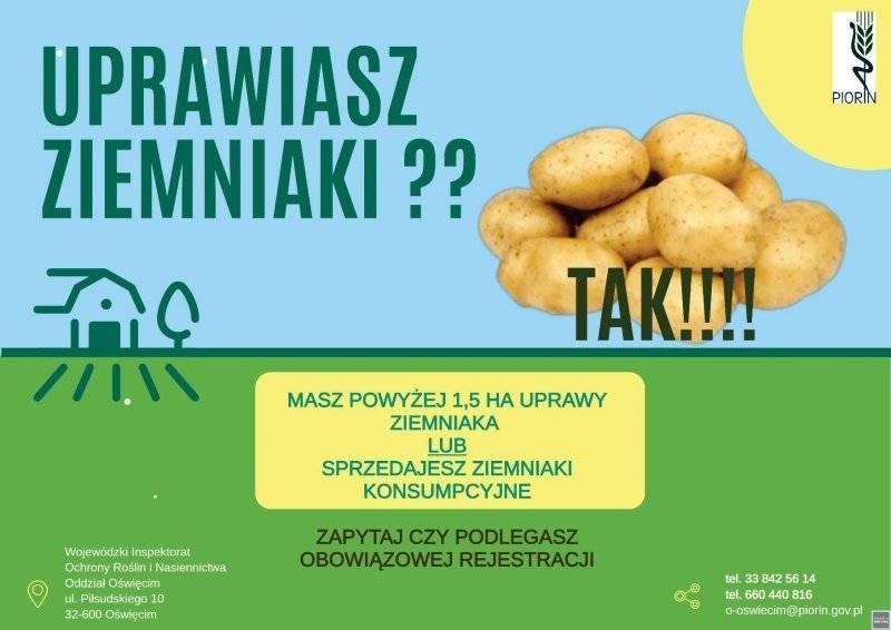 Informacja dotycząca rejestracji podmiotów uprawiających i sprzedających ziemniaki konsumpcyjne