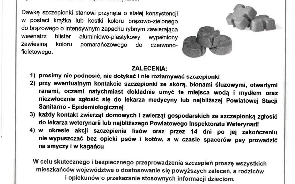 Wiosenna akcja ochronnego szczepienia lisów przeciwko wściekliźnie w dniach od 20 do 26 kwietnia 2024 roku - ZALECENIA