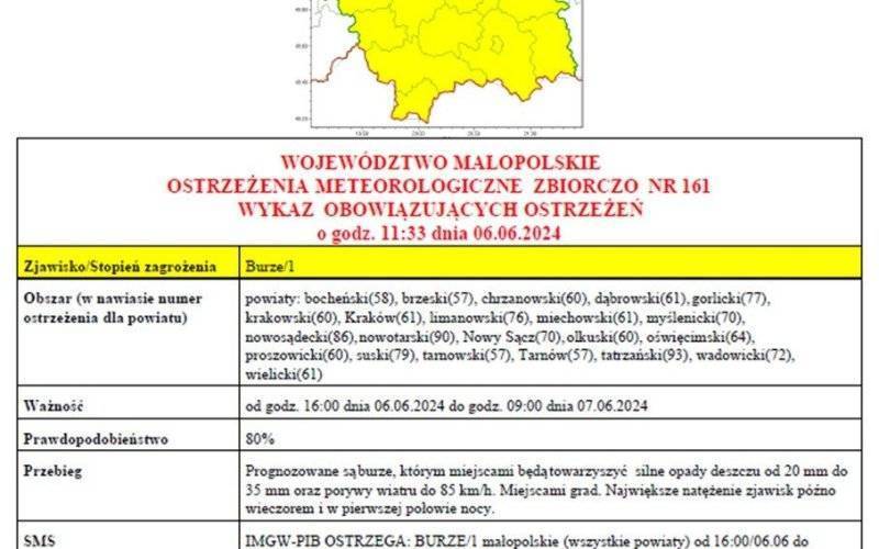 Ostrzeżenie Meteorologiczne nr 161 - Burze_1 stopnia