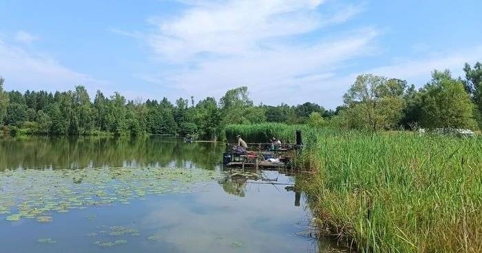 Liga Wędkarska Gminy Zator Spławikowe Zawody Wędkarskie