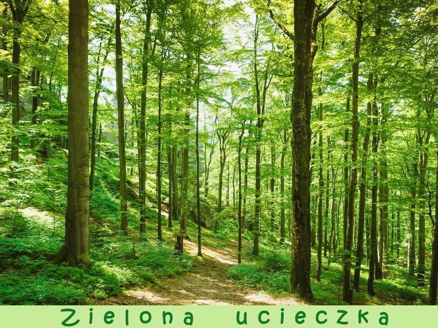„Zielona ucieczka” – escape room dla klas IV–VIII