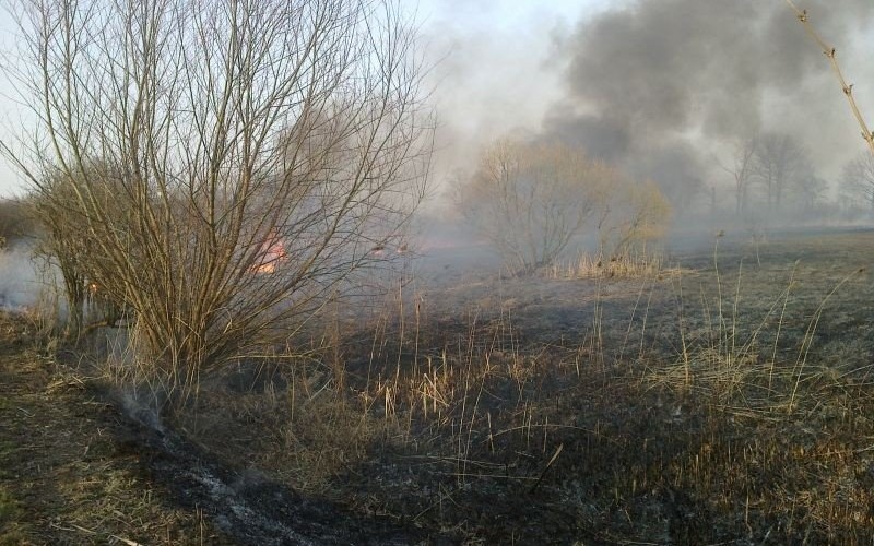 STOP WYPALANIU TRAW!