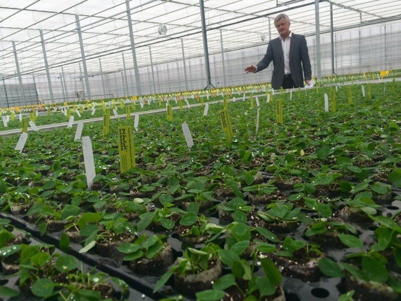 Technologiczne centrum ogrodnicze