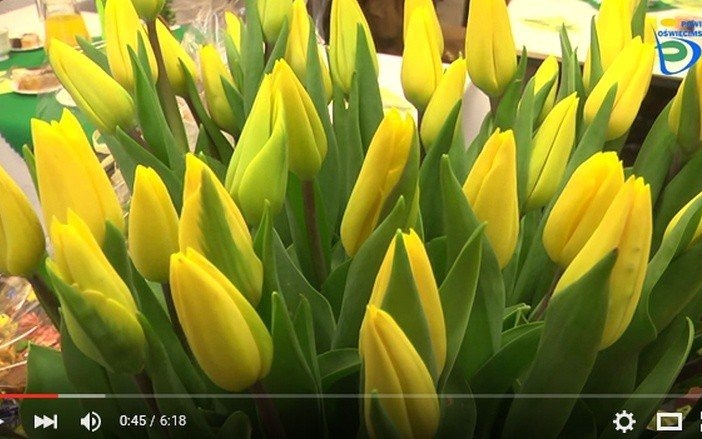 Dzień Kobiet w powiecie oświęcimskim