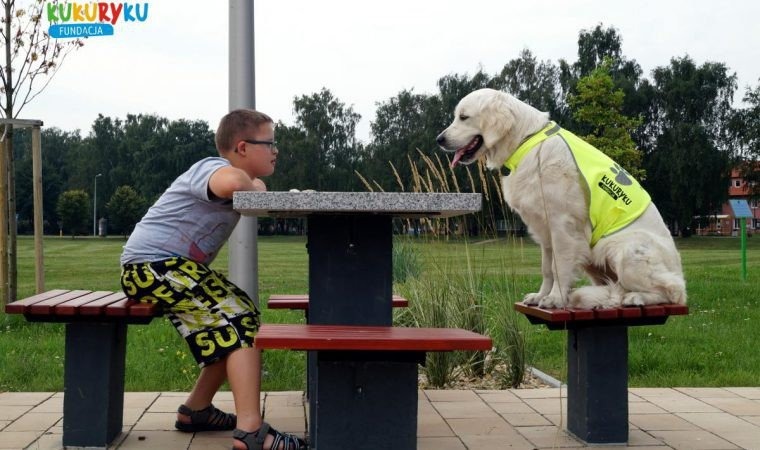 Projekt „Nowe wyzwania – lepsza przyszłość” w PCPR
