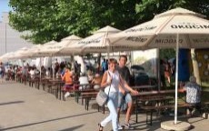 Piknik Rodzinny NSZZ „Solidarność”