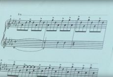 Stowarzyszenie Przyjaciół Państwowej Szkoły Muzycznej