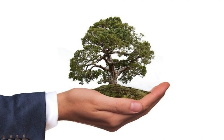 Dofinansowanie zadań z zakresu ochrony środowiska