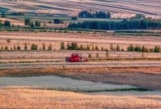 Dożynki w Gminie Kęty