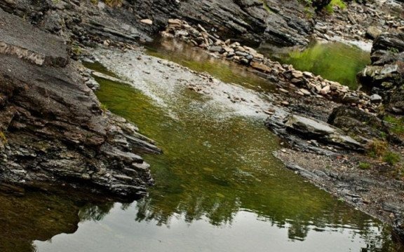 Zagłosuj na Rzekę Roku 2014!
